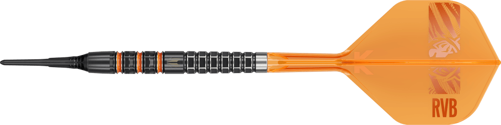 Target Raymond Van Barneveld 95K zachte darts - 20g