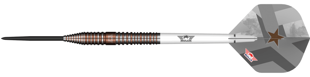 Bulls NL Max Hopp E5 steel darts