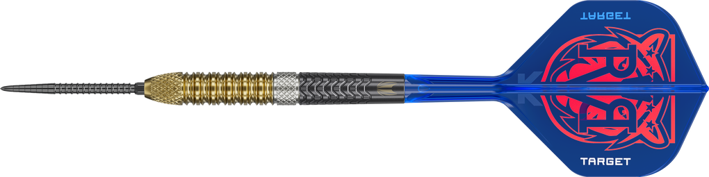Target Raymond Van Barneveld GEN6 Swiss Point stalen darts
