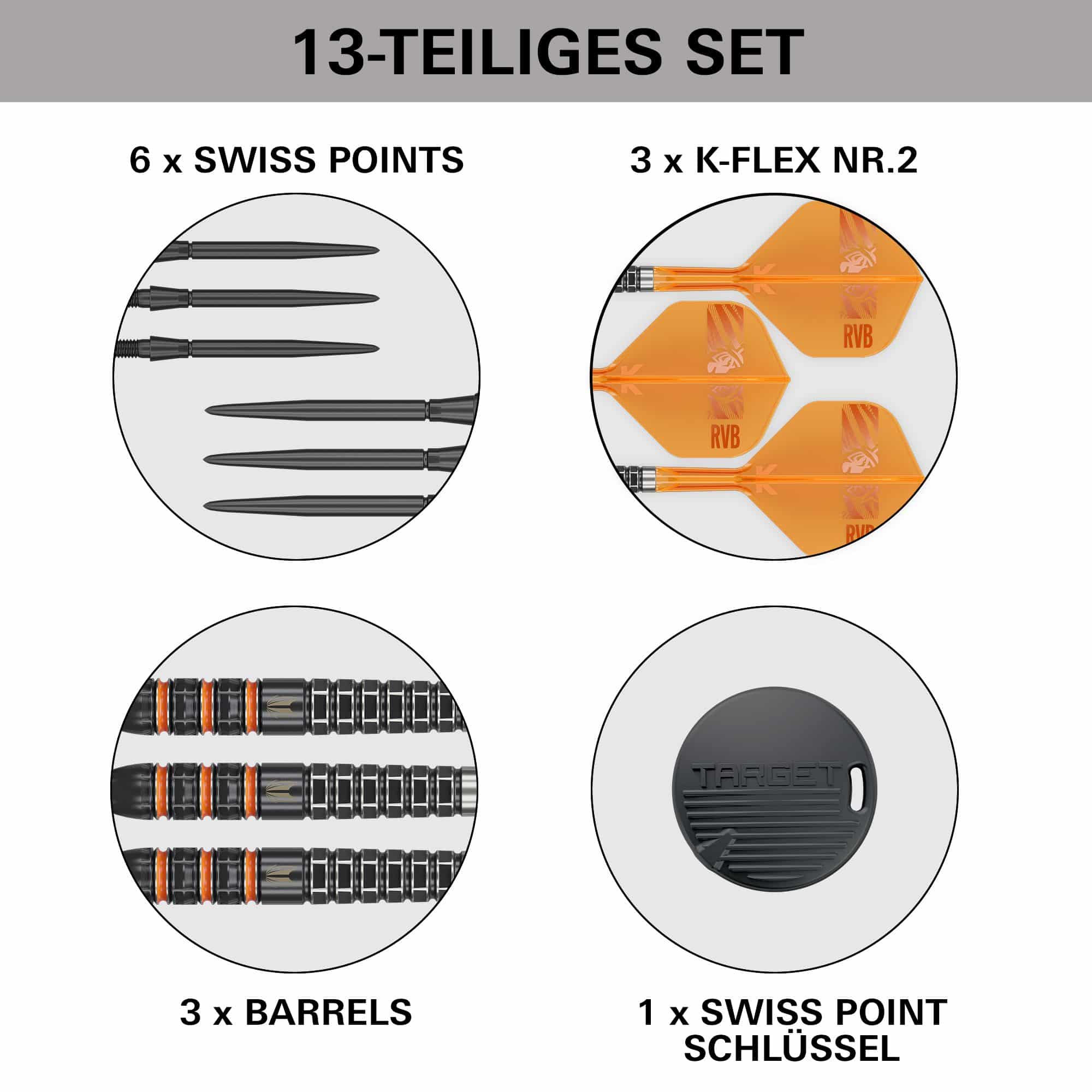 Target Raymond Van Barneveld 95K Zwitserse punten Steeldarts