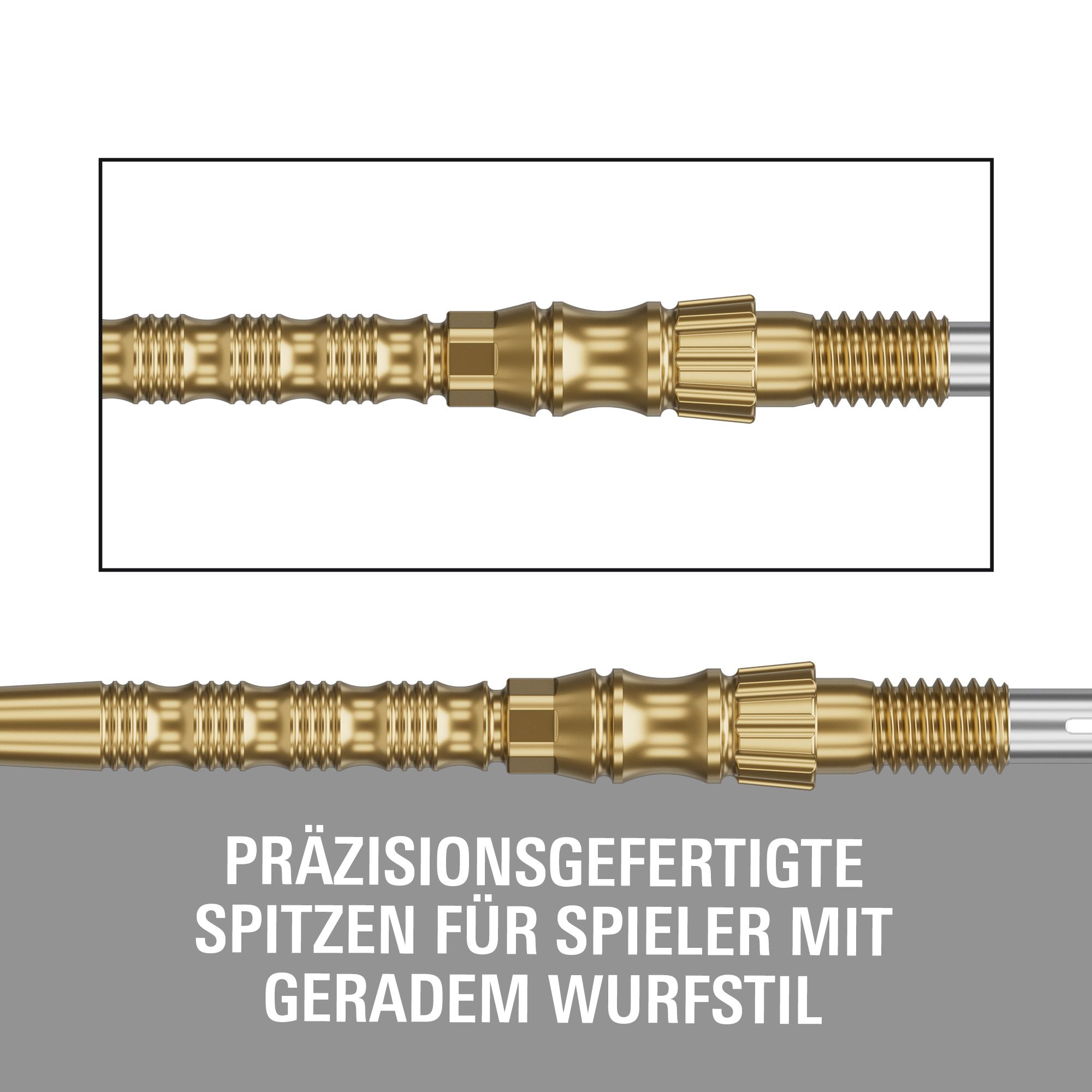 Target Signature Swiss Point TRB stalen dartpunten - goud Gezeigt werden Target Signature Swiss Point TRB Steeldartspitzen - Gold. Diese Dartspitzen haben eine goldene Farbe und sind für Steeldarts gedacht.