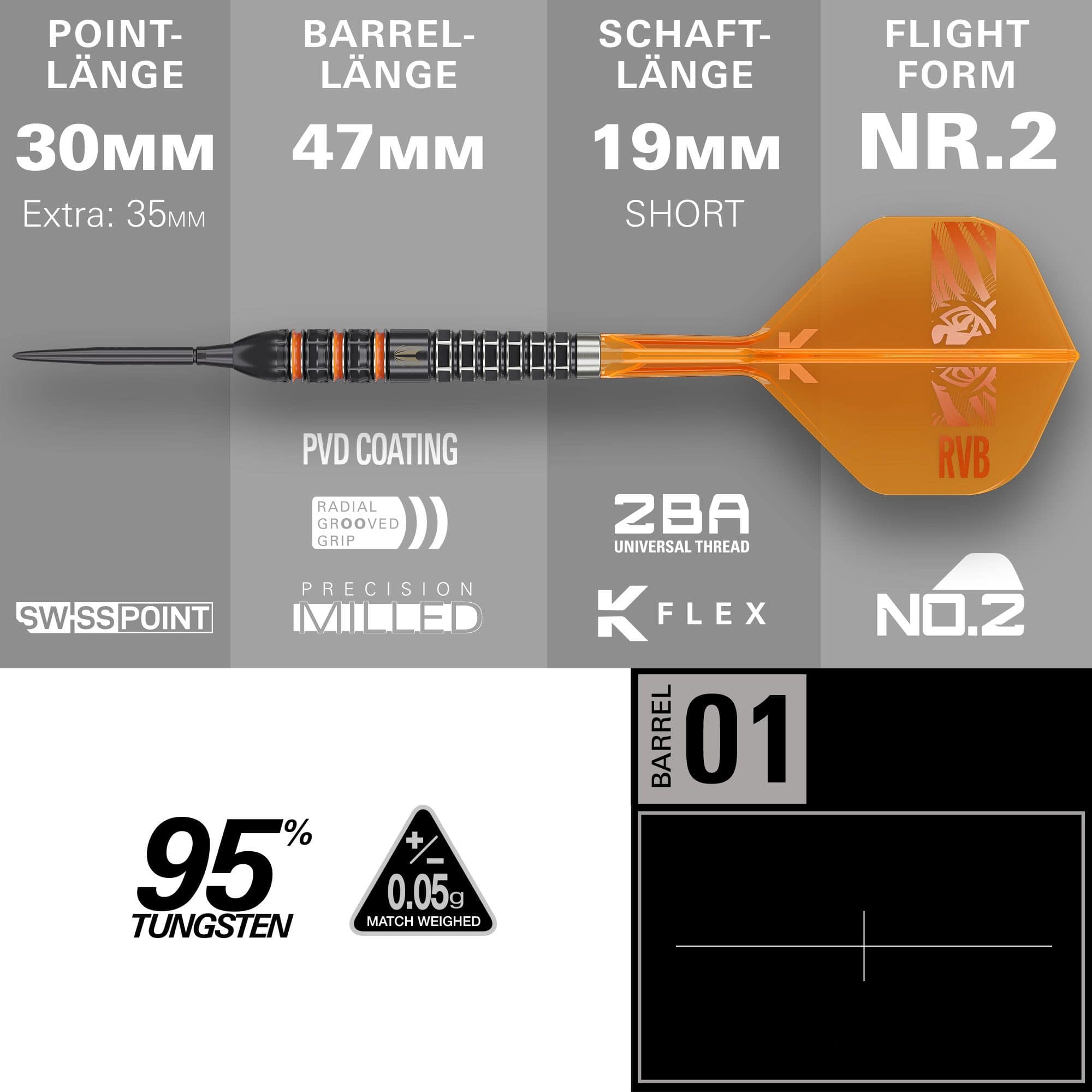 Target Raymond Van Barneveld 95K Zwitserse punten Steeldarts