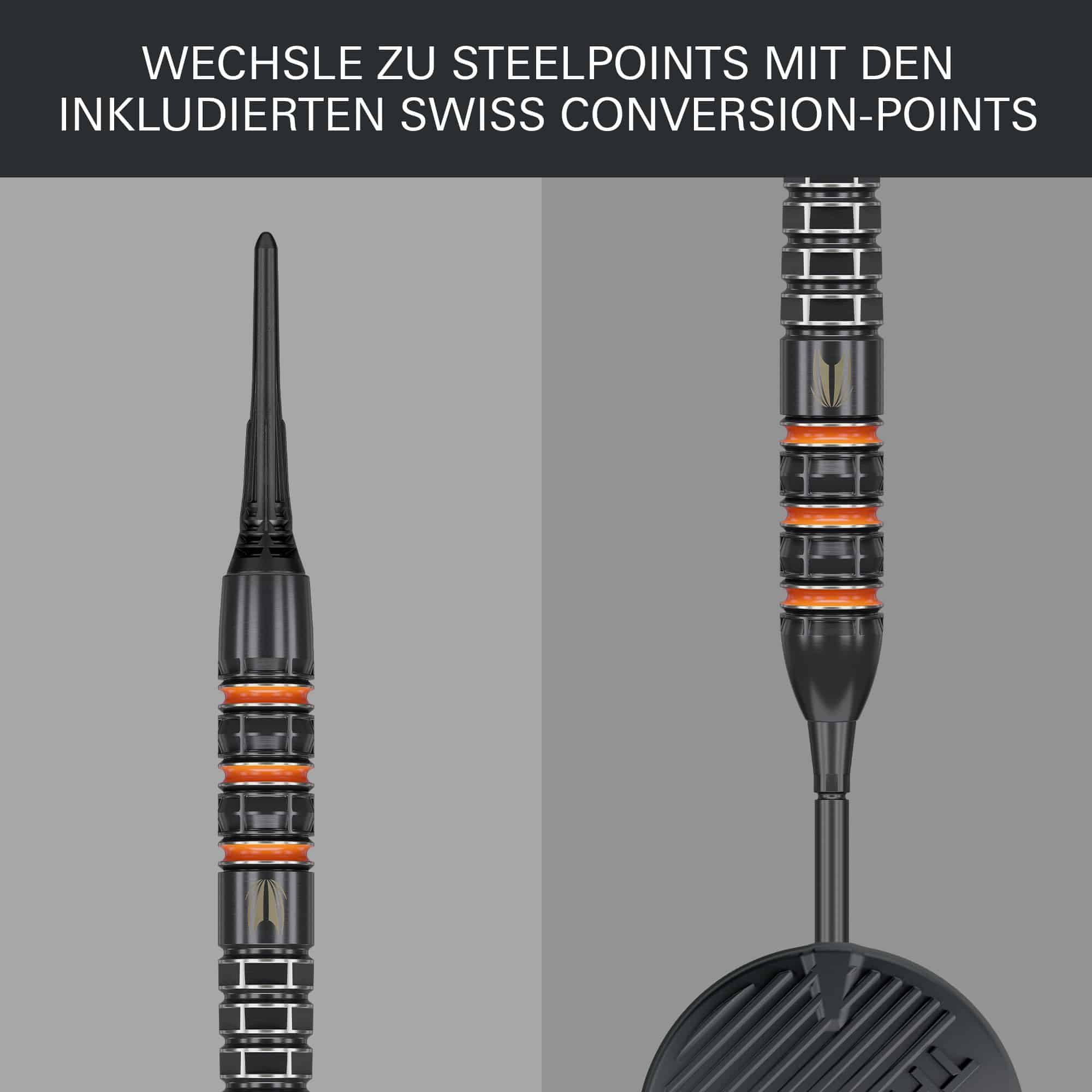 Target Raymond Van Barneveld 95K zachte darts - 20g