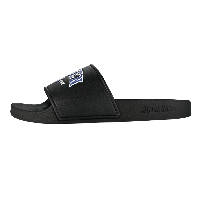 Dieses Foto stellt die Löwen Kollektion DARTIletten Schuhe dar. Ideal geeignet für Liebhaber des Dartsports.