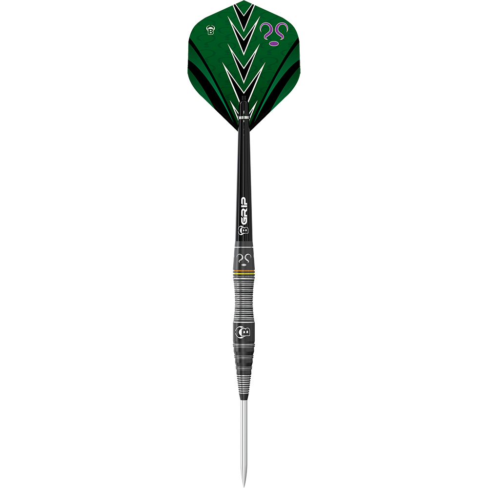 Bulls Brian Raman The Riddler Steeldarts Auf dem Bild ist ein Steeldart mit schwarzem Schaft und grüner Flight zu sehen. Auf dem Flight sind mehrere Fragezeichen und ein Pfeilmuster abgebildet.