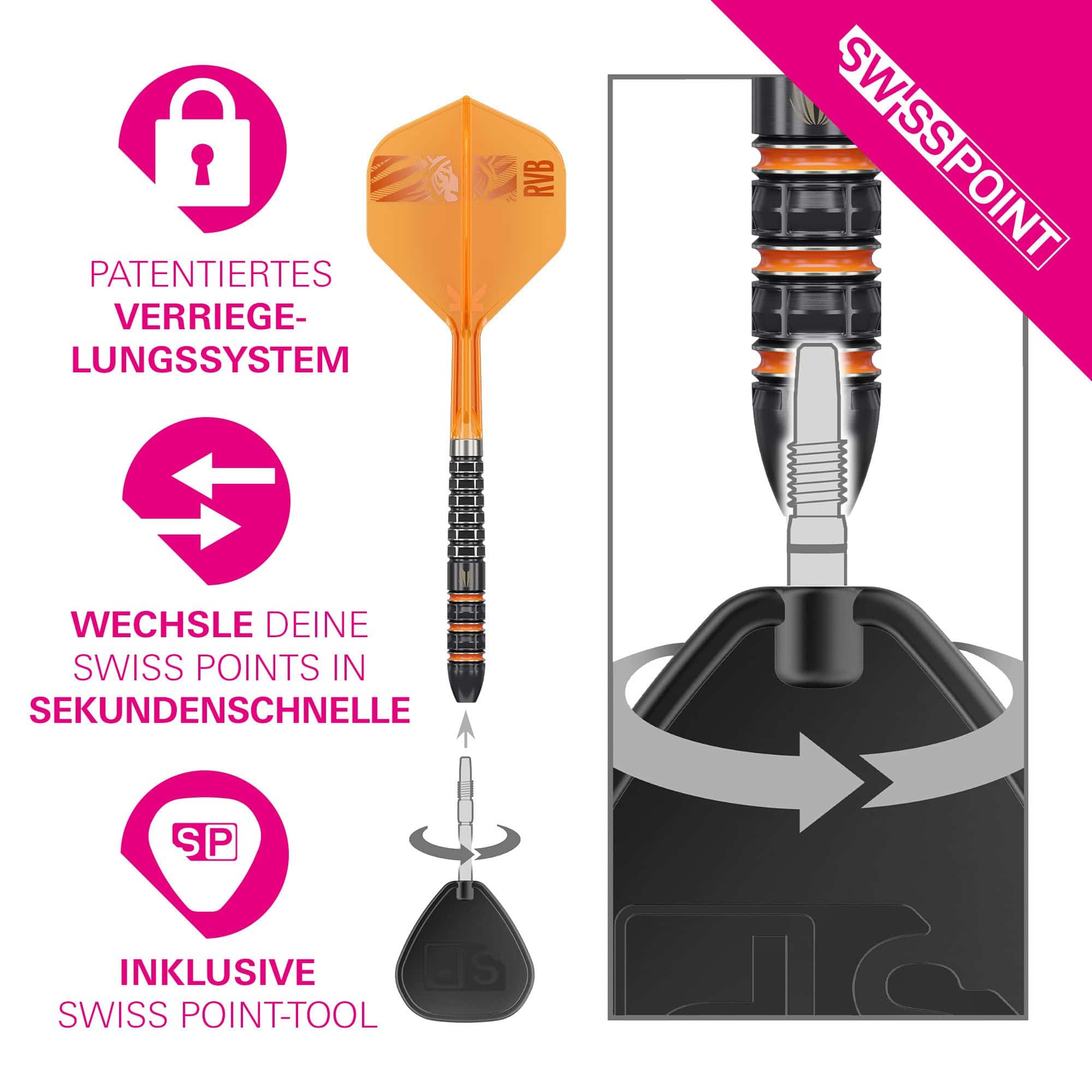 Target Raymond Van Barneveld 95K Zwitserse punten Steeldarts