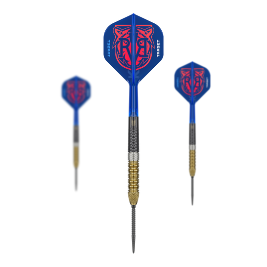 Target Raymond Van Barneveld GEN6 Swiss Point stalen darts Zu sehen sind die Target Raymond Van Barneveld GEN6 Swiss Point Steeldarts. Diese Darts sind speziell für professionelle Ansprüche gefertigt.
