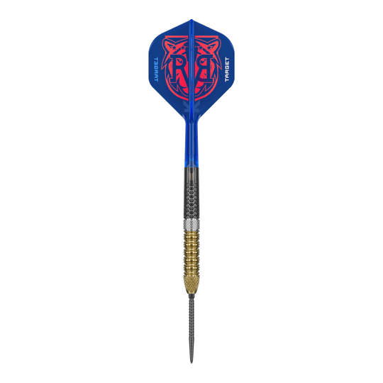 Target Raymond Van Barneveld GEN6 Swiss Point stalen darts Abgebildet sind die Target Raymond Van Barneveld GEN6 Swiss Point Steeldarts. Diese Steeldarts bieten erstklassige Qualität und Präzision.