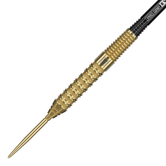 Target Bolide Envy 02 Swiss Point stalen dartpijlen Zu sehen sind Target Bolide Envy 02 Swiss Point Steeldarts. Sie bieten eine elegante Gestaltung und gute Griffigkeit.