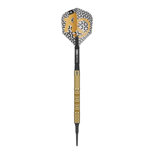 Target Bolide Envy 10 softdarts Zu sehen ist das Produkt Target Bolide Envy 10 Softdarts. Diese Darts sind ideal für Softdart-Spieler geeignet.
