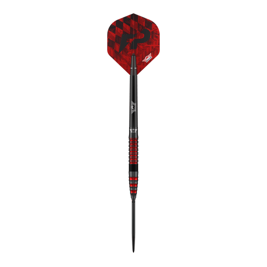Abgebildet ist das Set Bulls NL Florian Preis 90 Convertible Point Steeldarts. Die Darts wirken hochwertig.