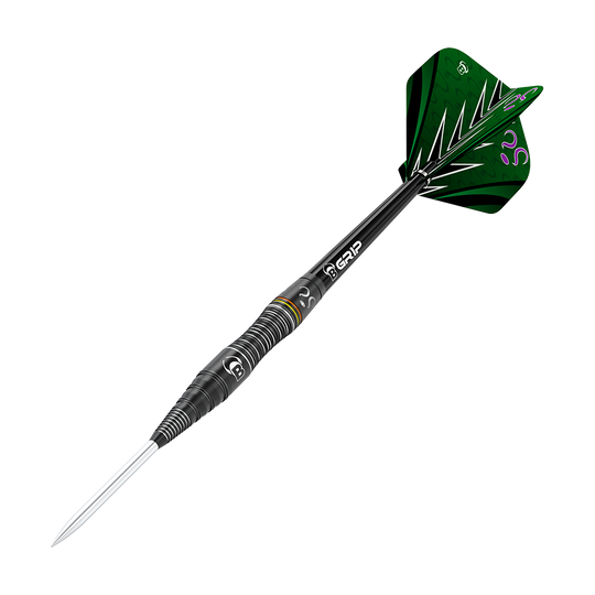 Bulls Brian Raman The Riddler Steeldarts Das Bild zeigt einen modernen Steeldartpfeil mit schwarzem Schaft und silberner Spitze. Die Flights sind grün mit auffälligen schwarzen und weißen Mustern sowie lila Details.