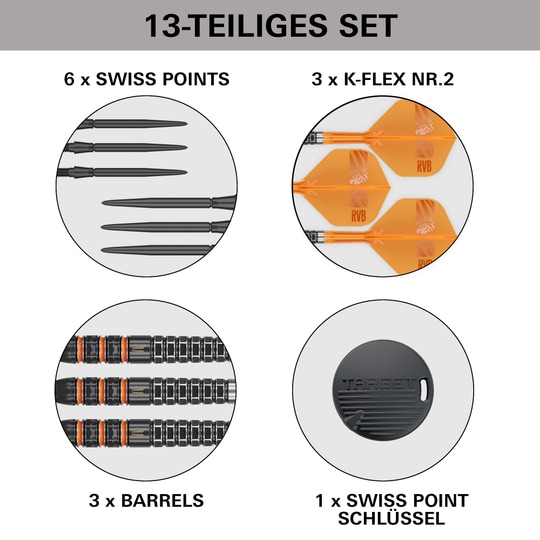 Target Raymond Van Barneveld 95K Zwitserse punten Steeldarts