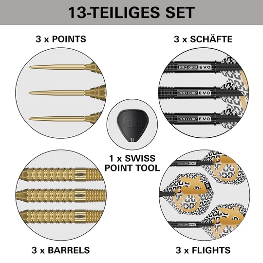 Target Bolide Envy 02 Swiss Point stalen dartpijlen Das Bild zeigt Target Bolide Envy 02 Swiss Point Steeldarts. Dies sind professionelle Steeldarts, geeignet für ambitionierte Spieler.