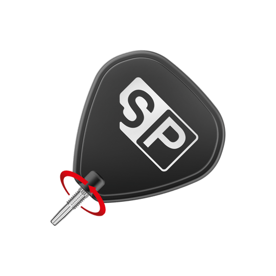 Target Swiss Point RVE Dartspitzen - Silber