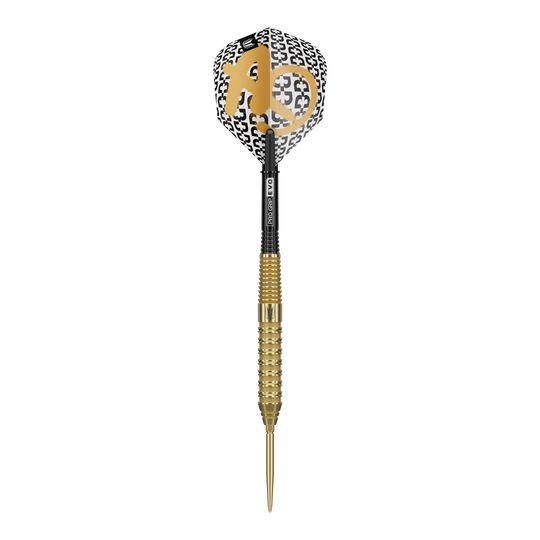 Target Bolide Envy 02 Swiss Point Steeldarts sind professionelle Steeldarts. Das Bild zeigt das Design und die Details dieses Dart-Produkts.