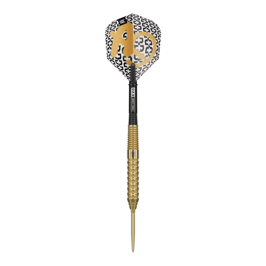 Target Bolide Envy 02 Swiss Point stalen dartpijlen Target Bolide Envy 02 Swiss Point Steeldarts sind professionelle Steeldarts. Das Bild zeigt das Design und die Details dieses Dart-Produkts.
