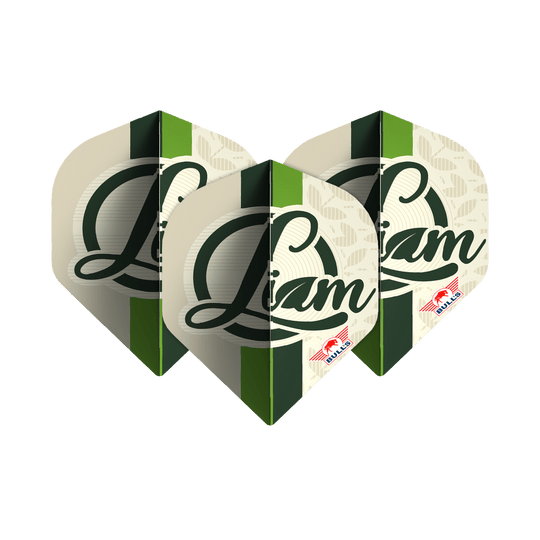 Das Bild zeigt drei Dart-Flights mit dem Namen "Liam" in grüner Schrift darauf. Unten rechts befindet sich das rote Bulls NL Logo.