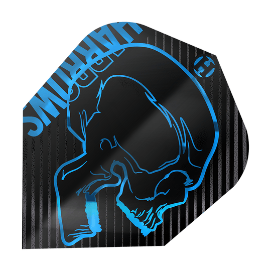 Harrows Rage Aqua No. 6 Vluchten Das Bild zeigt ein Dartflight mit dem Namen "Harrows Rage Aqua No6 Flights". Auf dem schwarzen Flight ist ein blauer Totenkopf und das HARROWS-Logo abgebildet.