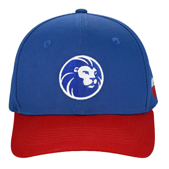 Lion Collection Cap Gezeigt wird eine Cap aus der Löwen Kollektion. Sie ist perfekt für Fans des Dartspiels geeignet.