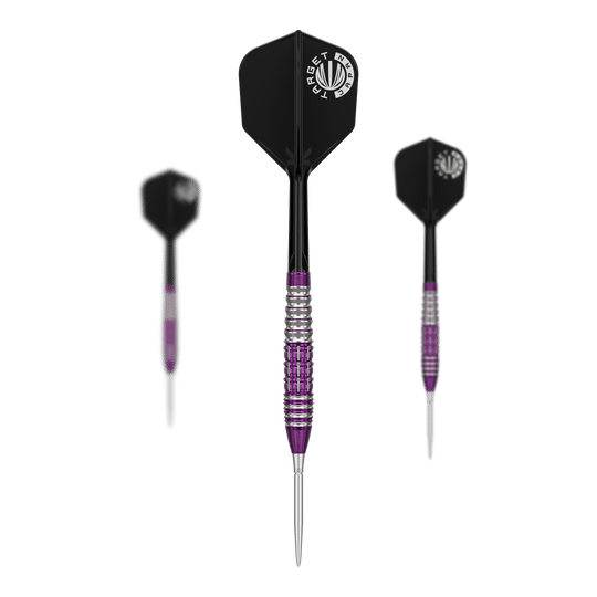 Das Bild zeigt drei Steeldarts der Marke "Target Japan Prime Series Tung Suk Zenith GEN1 Swiss Point" mit einem Gewicht von 23g. Die Darts haben silberne und lila Akzente sowie schwarze Flights mit weißem Logo.