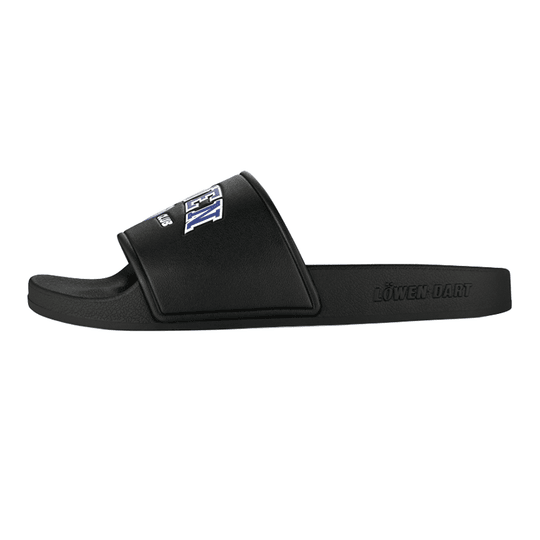 Löwen Collectie DARTIletten Dieses Foto stellt die Löwen Kollektion DARTIletten Schuhe dar. Ideal geeignet für Liebhaber des Dartsports.