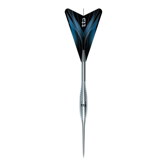 Abgebildet ist das Produkt Caliburn TTD Complete Titanium T2 Silver Steeldarts - 6g. Diese silbernen Steeldarts bestehen aus Titan und wiegen 6 Gramm.