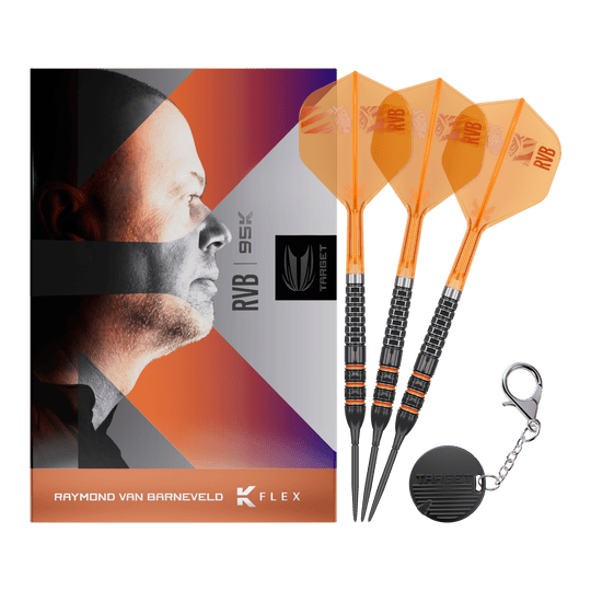 Target Raymond Van Barneveld 95K Zwitserse punten Steeldarts
