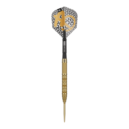 Target Bolide Envy 01 Swiss Point stalen dartpijlen Das Bild zeigt die Target Bolide Envy 01 Swiss Point Steeldarts. Diese Darts sind für anspruchsvolle Dartspieler geeignet.
