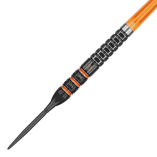 Target Raymond Van Barneveld 95K Zwitserse punten Steeldarts