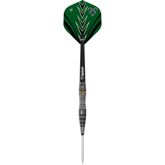 Bulls Brian Raman The Riddler Steeldarts Auf dem Bild ist ein Steeldart mit schwarzem Schaft und grüner Flight zu sehen. Auf dem Flight sind mehrere Fragezeichen und ein Pfeilmuster abgebildet.