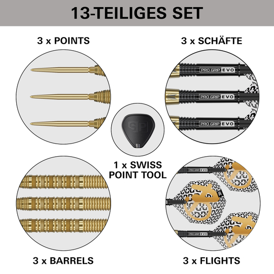 Die Target Bolide Envy 01 Swiss Point Steeldarts sind auf diesem Bild zu sehen. Sie bieten eine erstklassige Dart-Performance und modernes Aussehen.