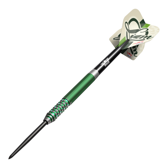 Bulls NL Liam Maendl Lawrance Steeldarts - 23g Das Bild zeigt einen Bulls NL Liam Maendl Lawrance Steeldart mit einem Gewicht von 23 Gramm. Der Dart hat einen grünen Ringgriff und schwarze Spitze sowie Flights mit dem Schriftzug "Liam".
