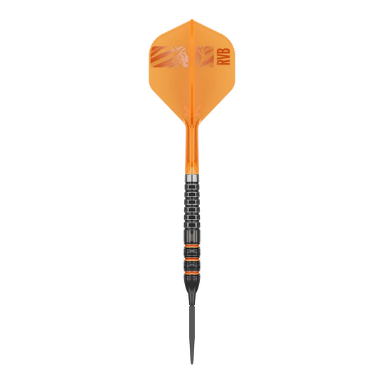 Target Raymond Van Barneveld 95K Zwitserse punten Steeldarts Target Raymond Van Barneveld 95K Zwitserse punten Steeldarts